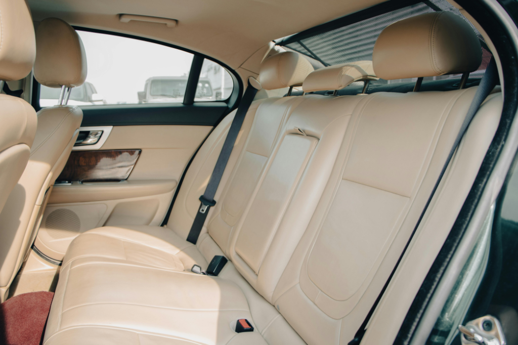 Skipping the Seat Belt in the Backseat: The Hidden Risk