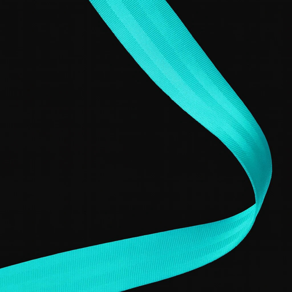 Seat Belt Webbing Color Samples